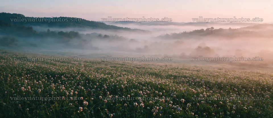Clover speedwell meadow with foggy hills in the background – nature photography 12094x5210
