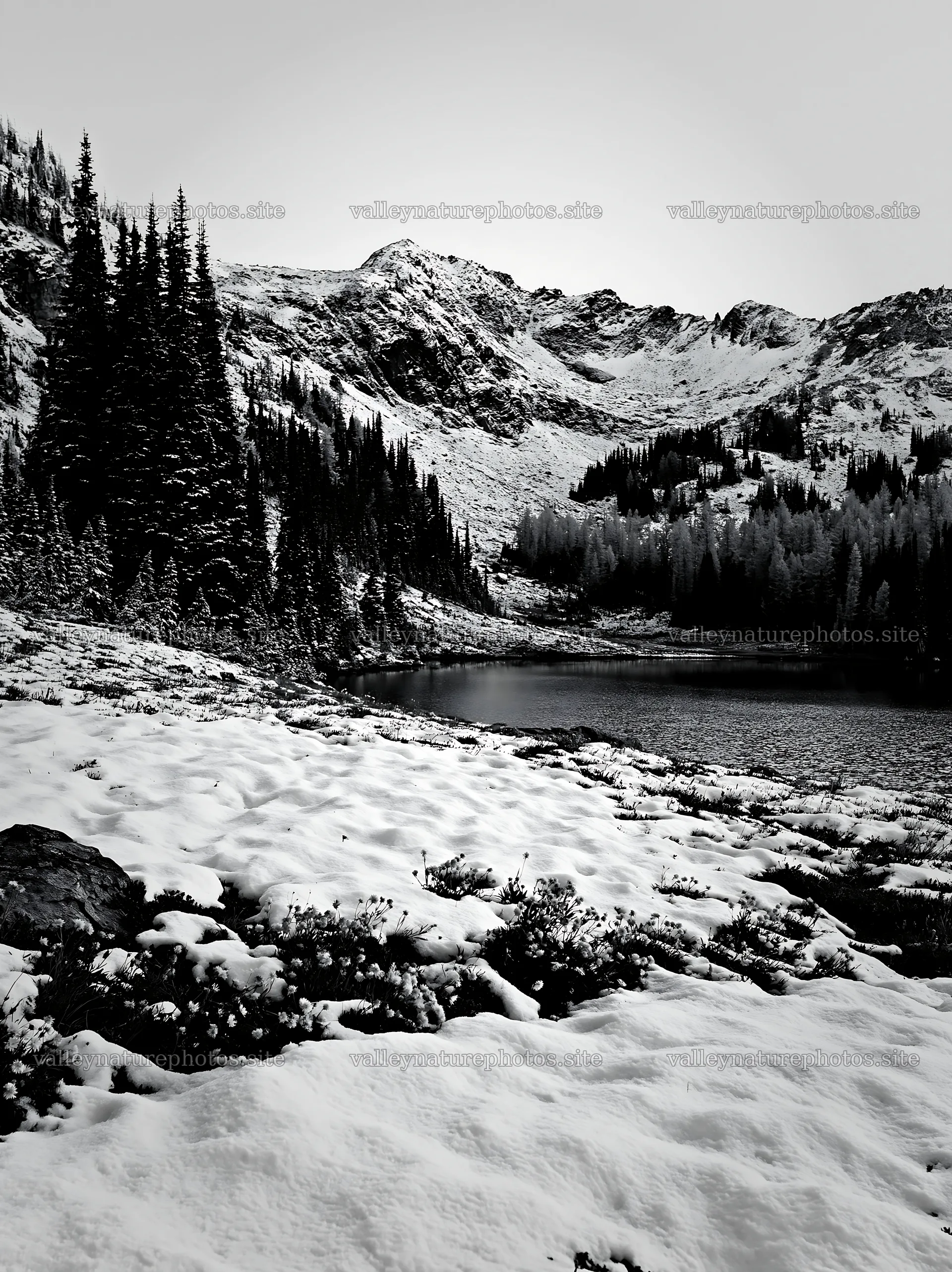 Lakeside meadow covered in snow after the first snowfall – nature photography 6866x9174