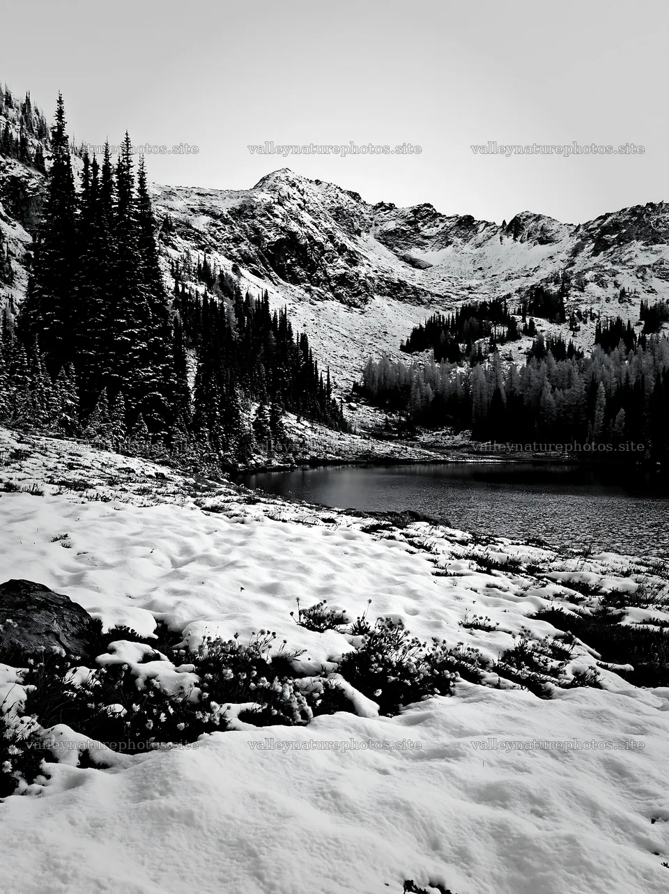 Lakeside meadow covered in snow after the first snowfall – nature photography 6866x9174