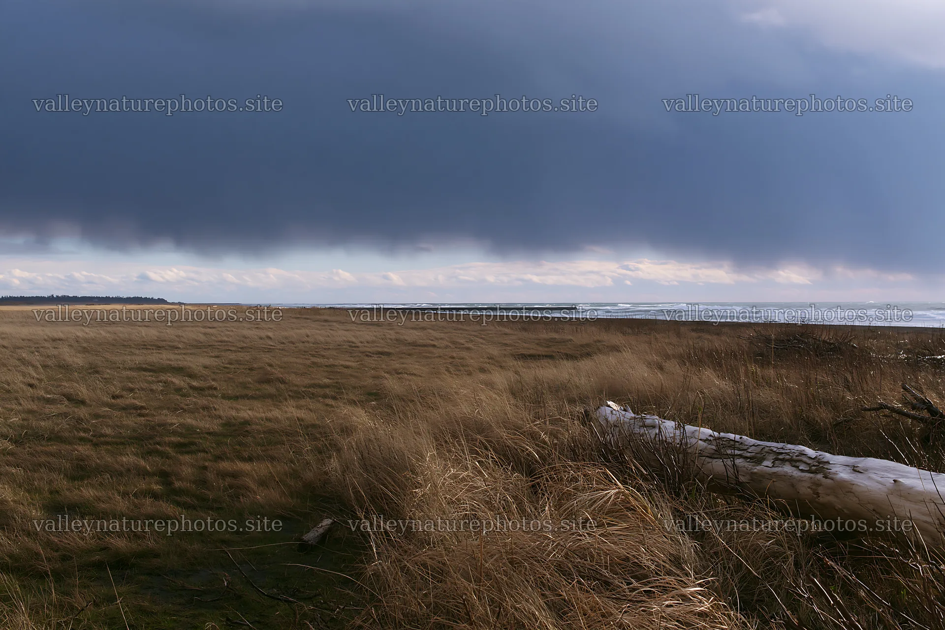 Coastal meadow at Ishikawa with storm clouds and driftwood – nature photography 9722x6480