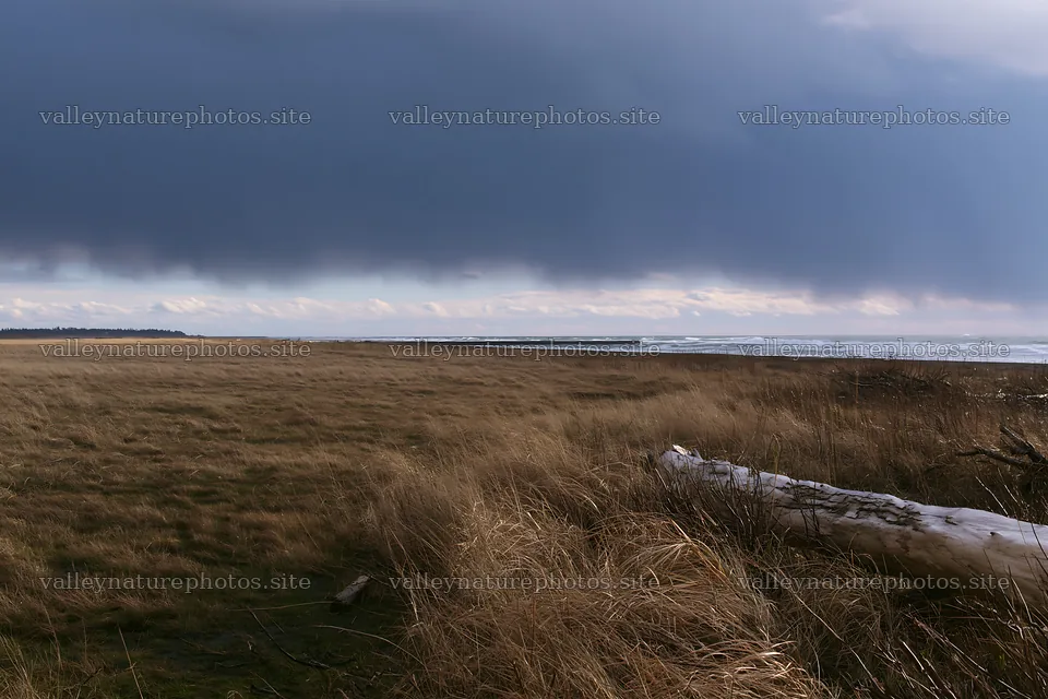 Coastal meadow at Ishikawa with storm clouds and driftwood – nature photography 9722x6480