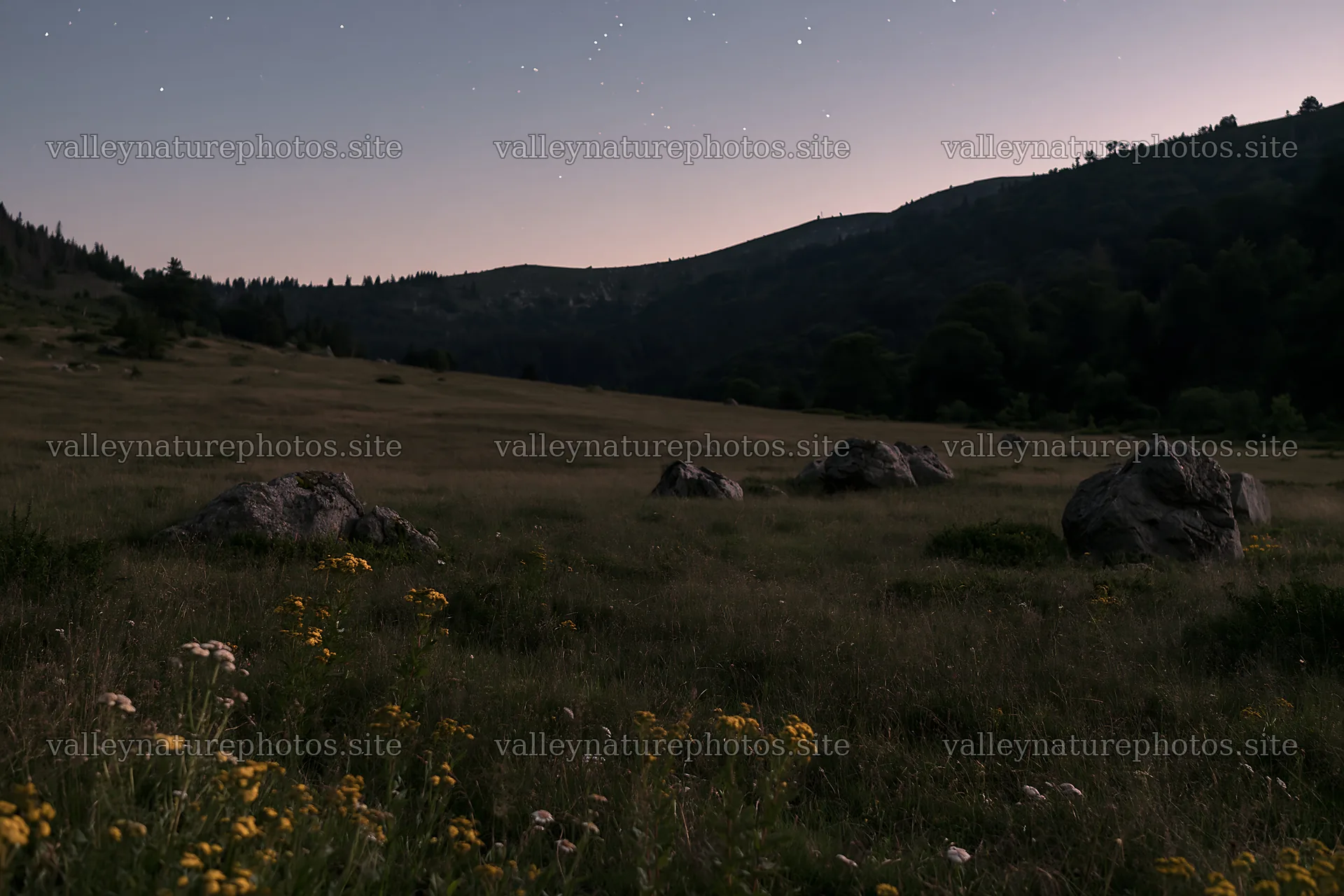 Dark sky over a meadow with rocks and flowers at night – nature photography 9722x6480