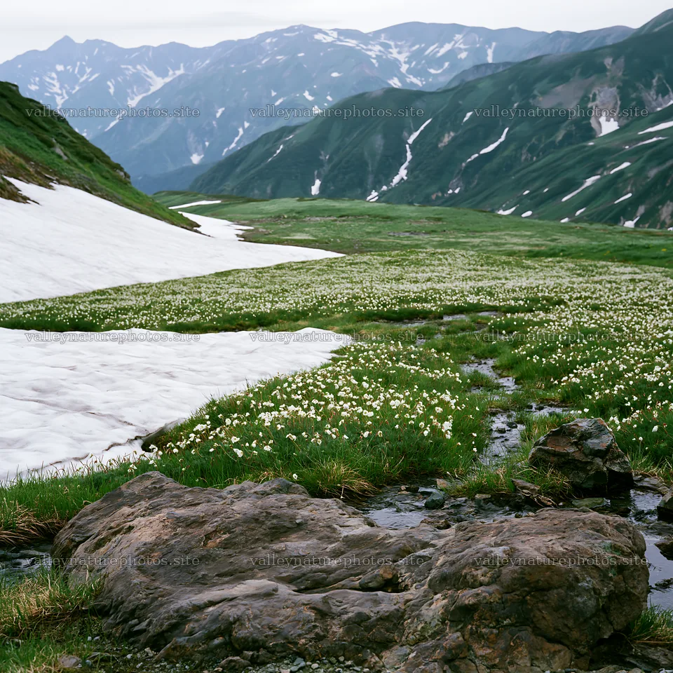 Toyama alpine meadow with snowmelt and rock formations – nature photography 7938x7938