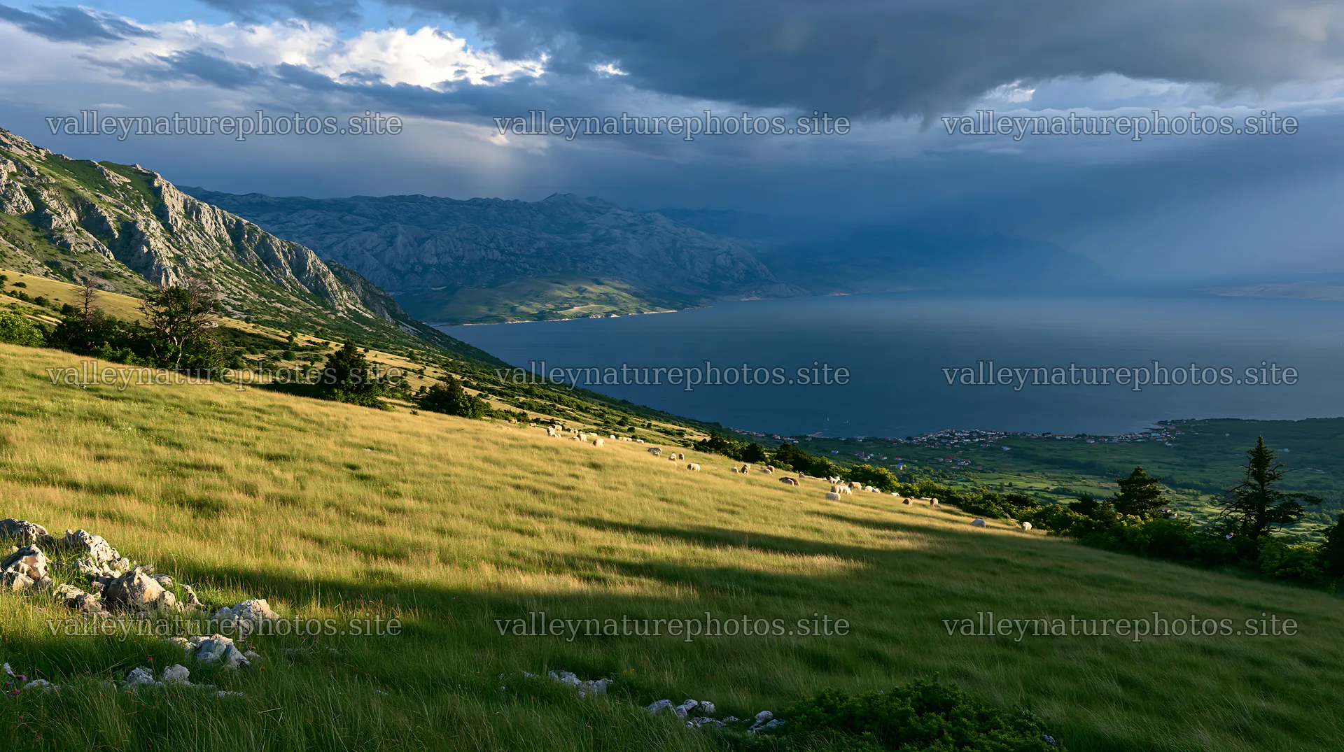 Croatian meadow overlooking Adriatic coast with mountains – nature photography 10608x5938