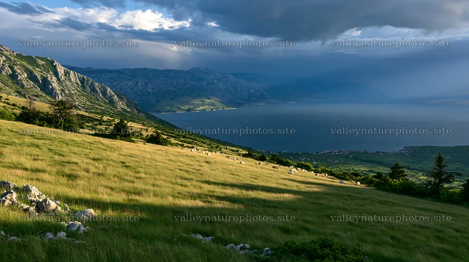 Croatian meadow overlooking Adriatic coast with mountains – nature photography 10608x5938