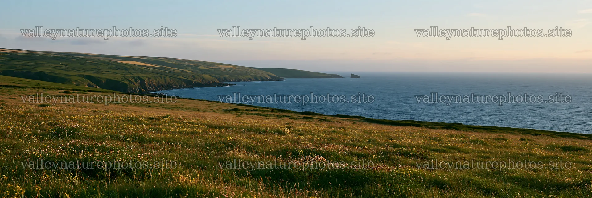 Clifftop meadow overlooking the ocean at sunset – nature photography 13690x4602