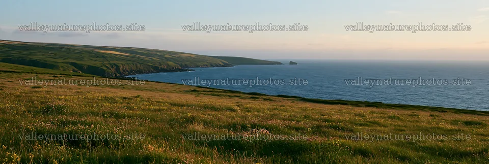 Clifftop meadow overlooking the ocean at sunset – nature photography 13690x4602