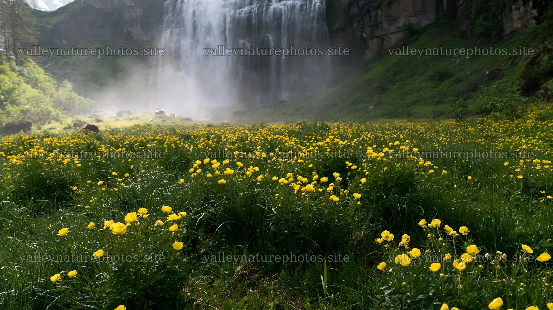Misty waterfall in flower meadow with yellow blooms – nature photography 10608x5938