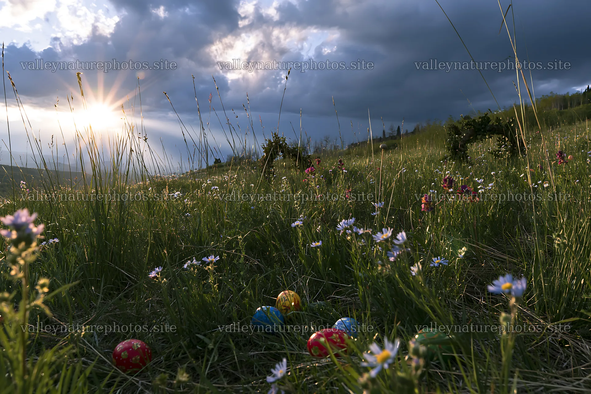 Christmas wreaths in meadow with clouds and sun rays – nature photography 9722x6480