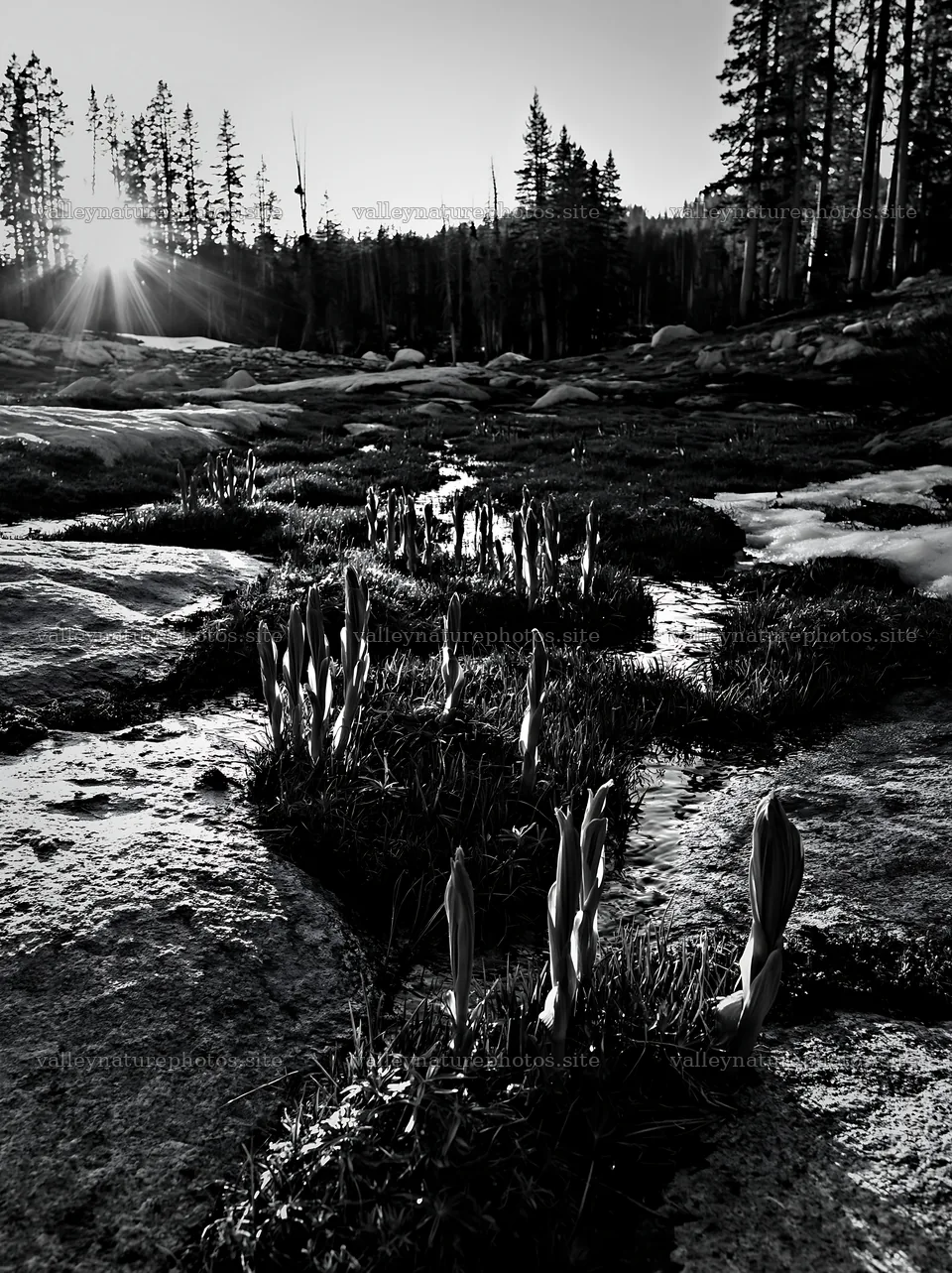Mountain pass meadow in black and white at sunrise – nature photography 6866x9174