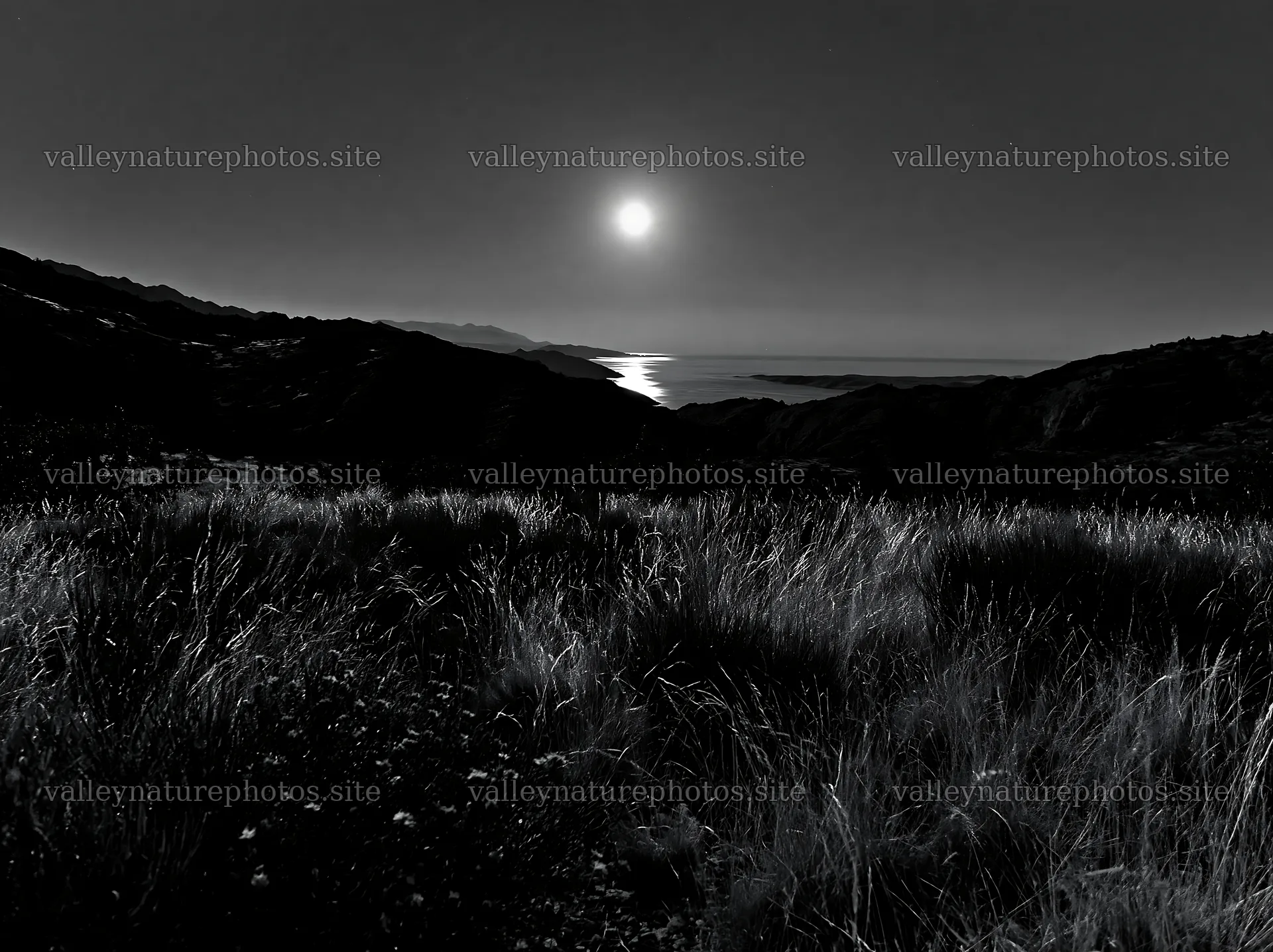 Moonrise over meadow with night landscape – nature photography 9174x6866