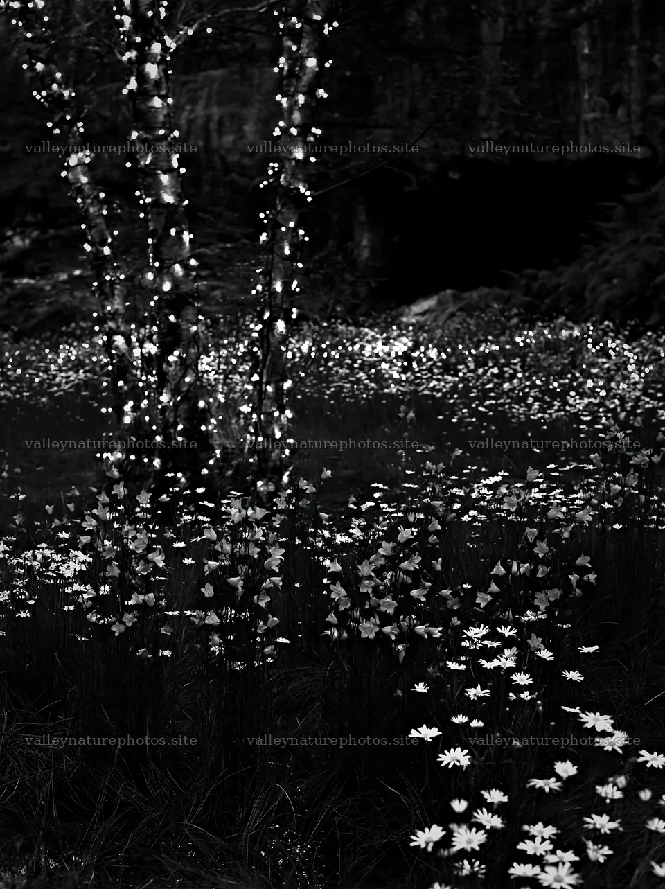 Christmas lights in meadow by cave – nature photography 6866x9174