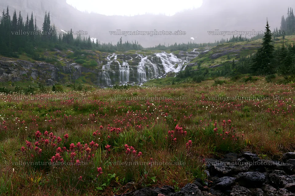 Misty mountain waterfall in a meadow with blooming flowers – nature photography 9722x6480