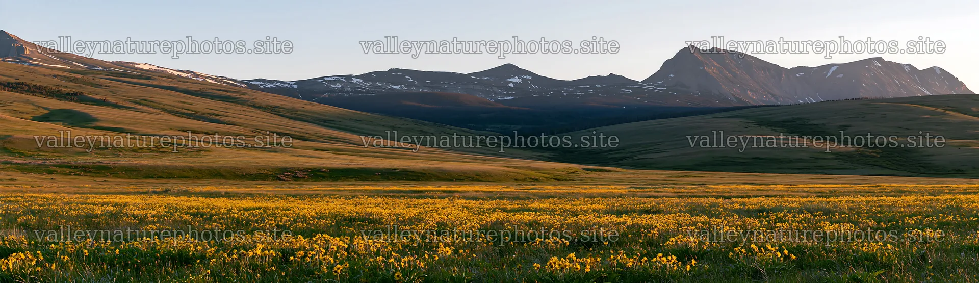 Meadow in rolling valley during sunset with mountains in distance – nature photography 14762x4268