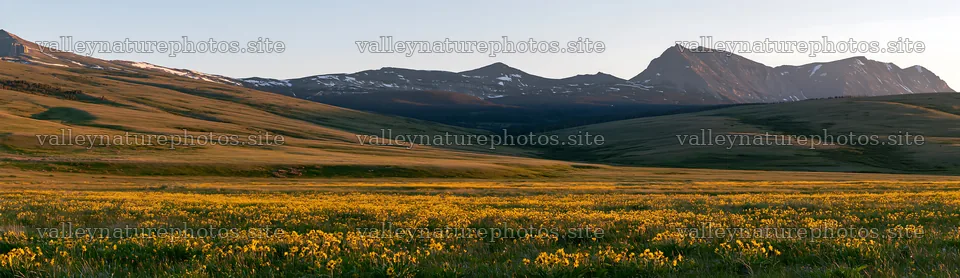 Meadow in rolling valley during sunset with mountains in distance – nature photography 14762x4268