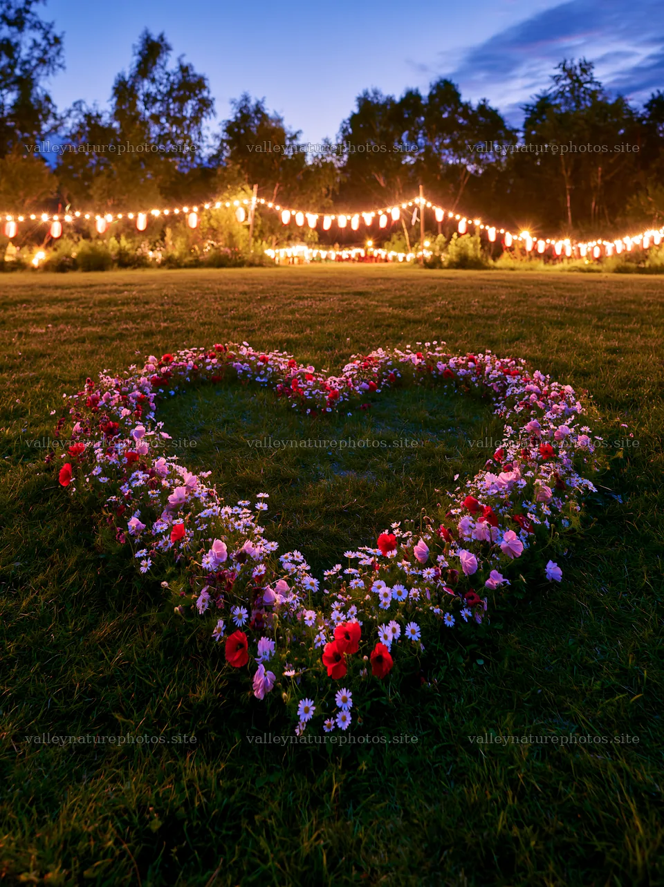 Vibrant Christmas lanterns below twilight sky in meadow – nature photography 6866x9174
