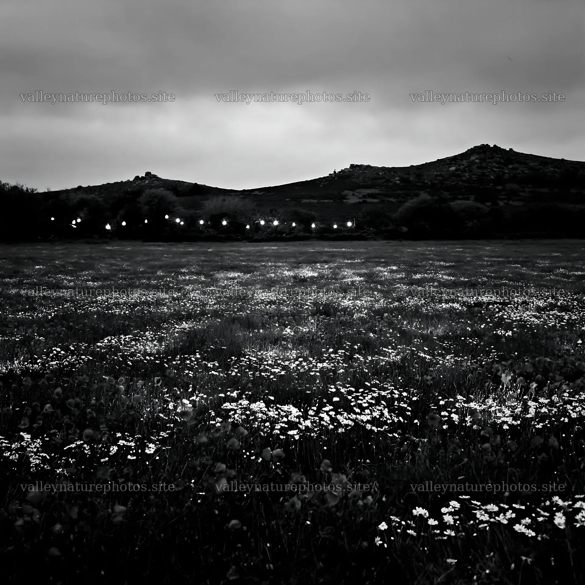 Lanterns light a Christmas meadow in Dartmoor at dusk – nature photography 7938x7938
