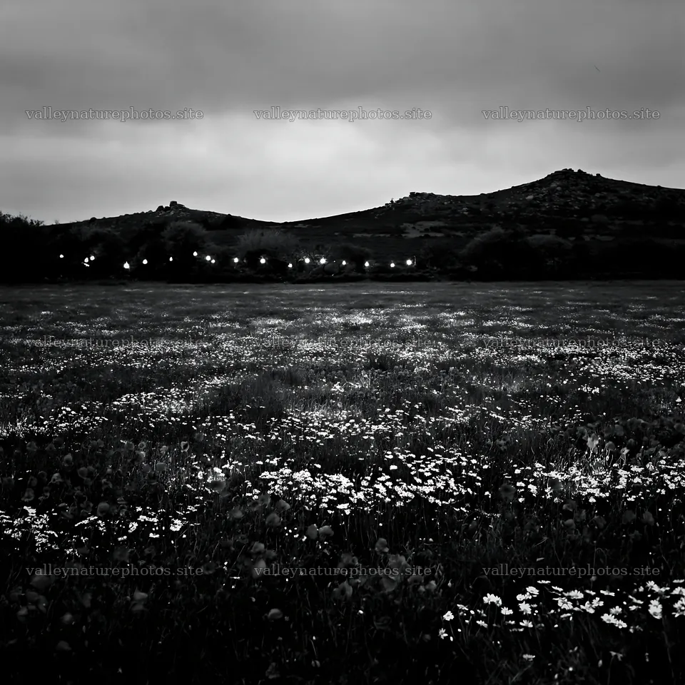 Lanterns light a Christmas meadow in Dartmoor at dusk – nature photography 7938x7938