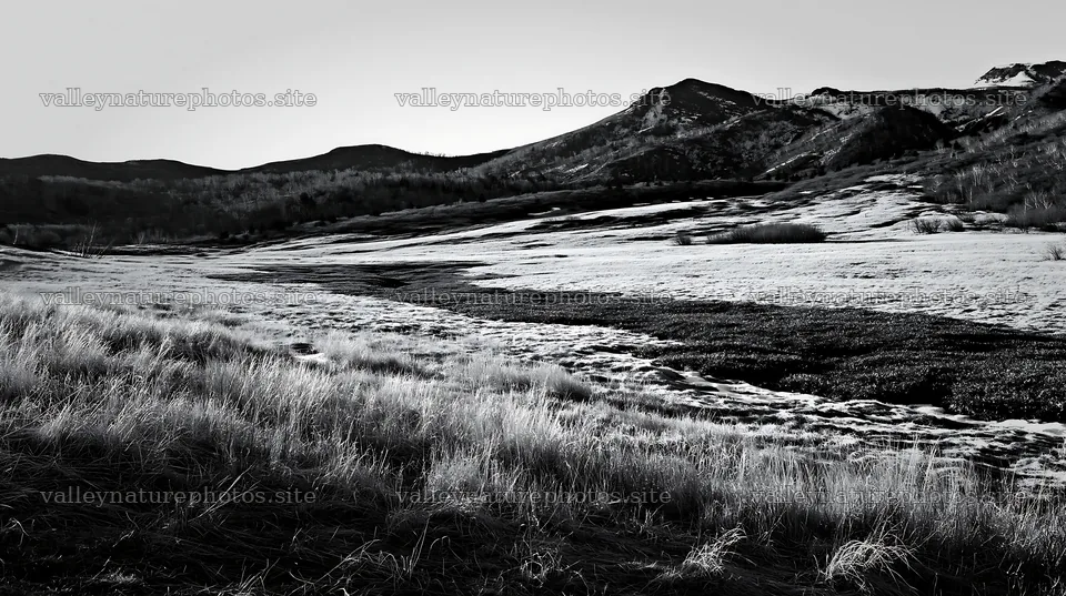 Akita snowmelt meadow with silver grasses in daylight – nature photography 10608x5938