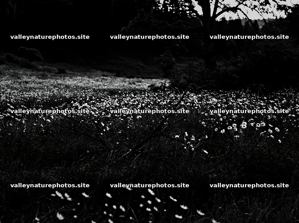 Yamagata rewilded meadow with fallen branch in the foreground – nature photography 9174x6866