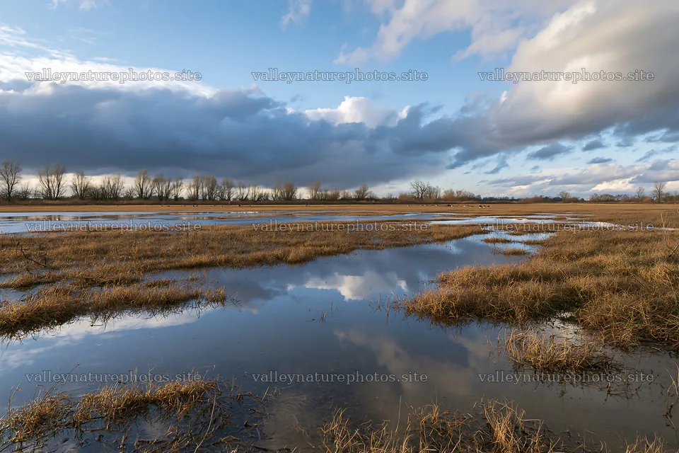 Autumn meadow with water reflections and cloudy sky – nature photography 9722x6480
