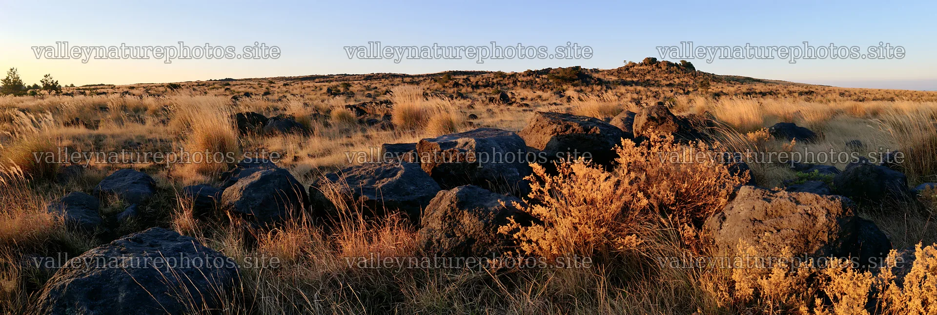 Kanagawa volcanic stones in a heat resilient meadow – nature photography 13690x4602