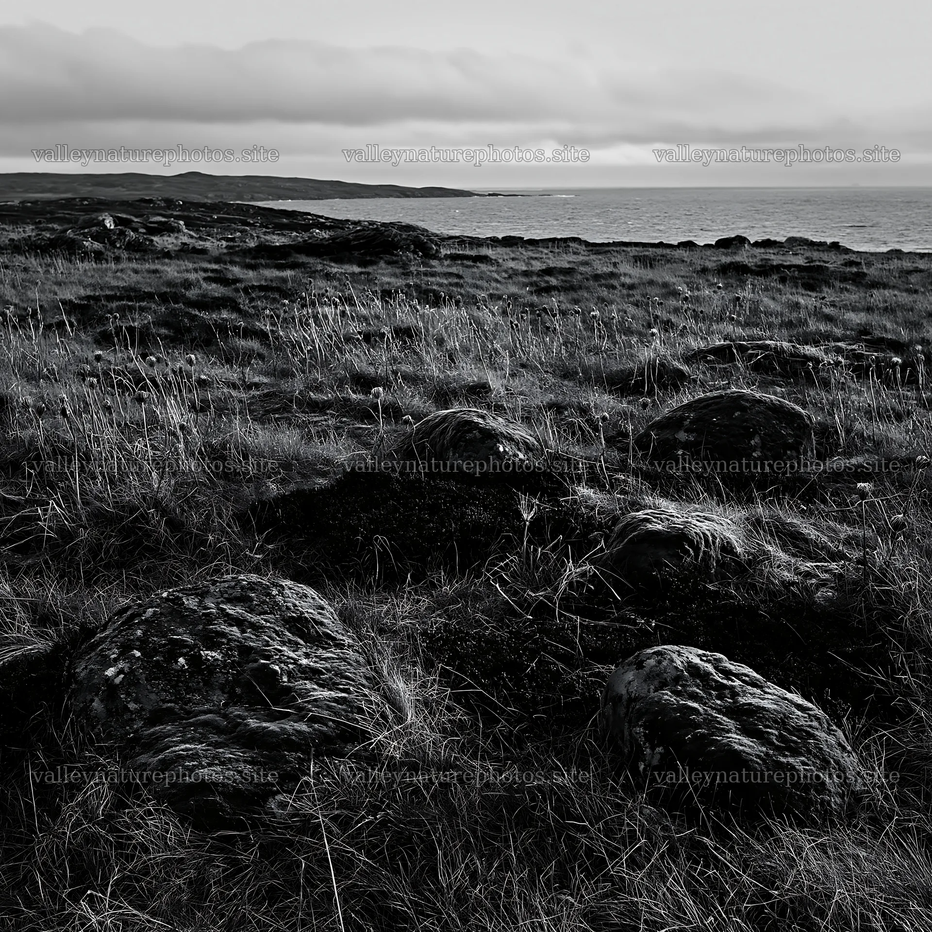 Mossy boulder meadow surrounded by grass and ocean view – nature photography 7938x7938