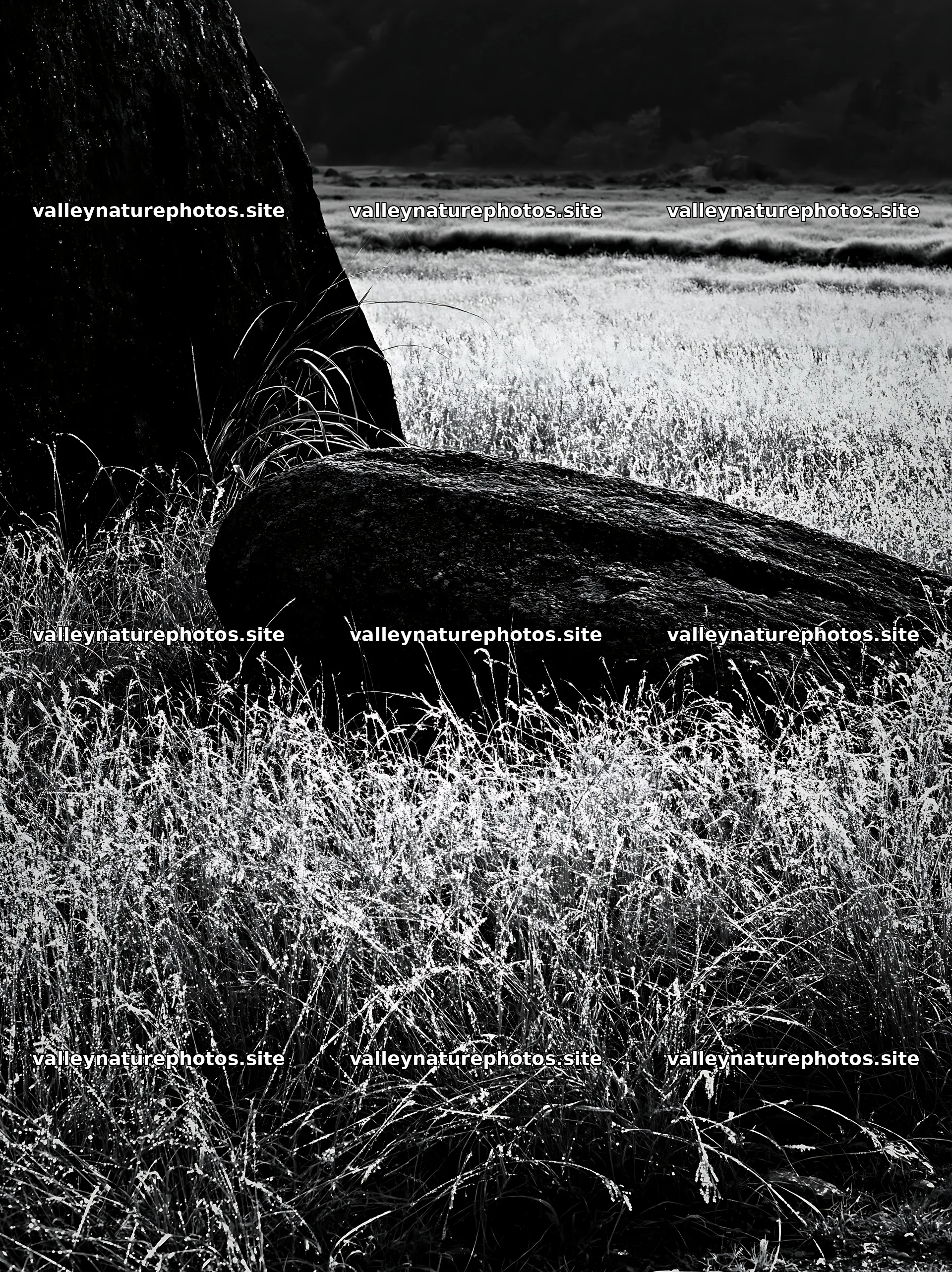 Nagano drought resilient meadow granite boulder – nature photography 6866x9174