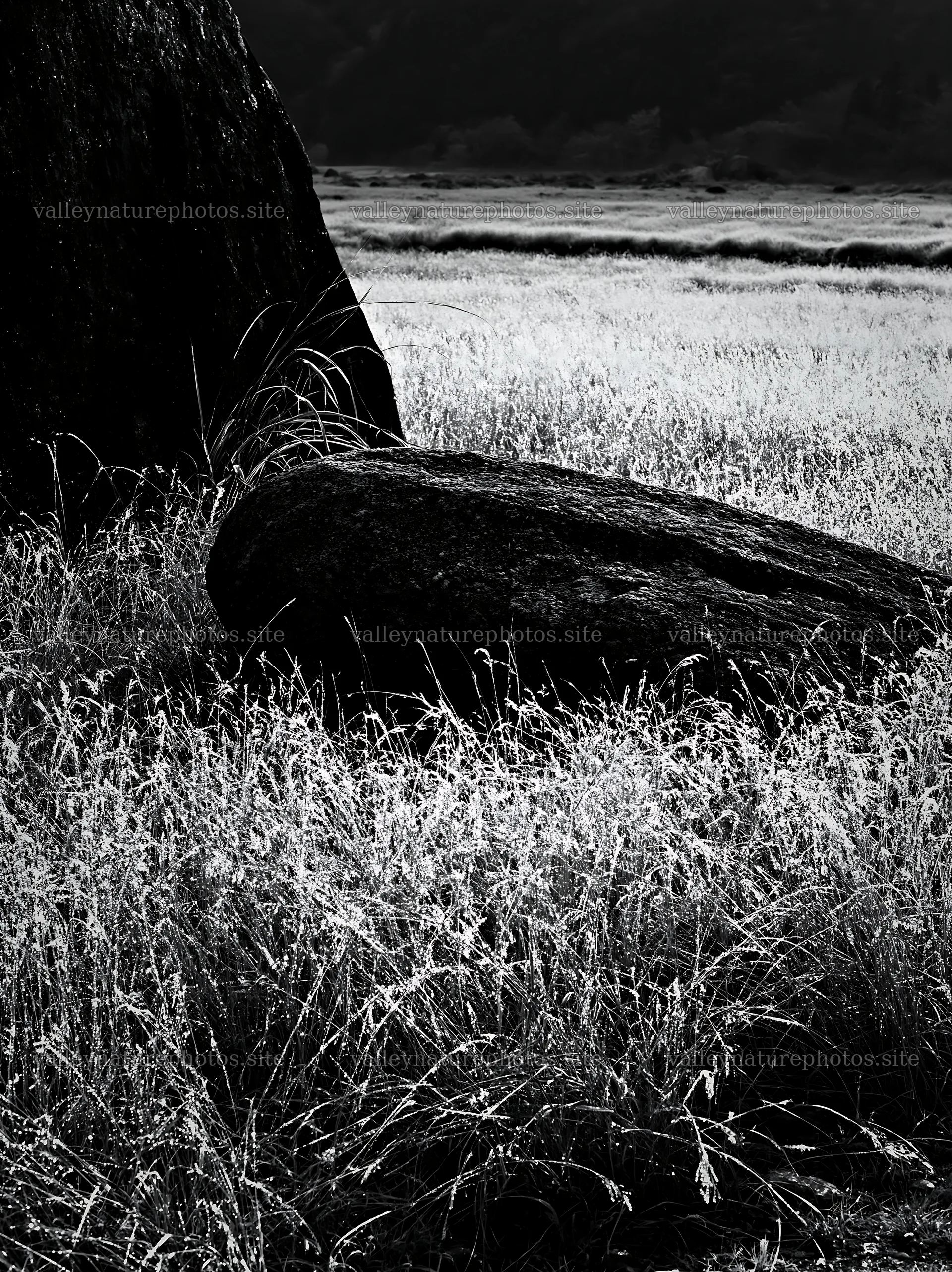 Nagano drought resilient meadow granite boulder – nature photography 6866x9174