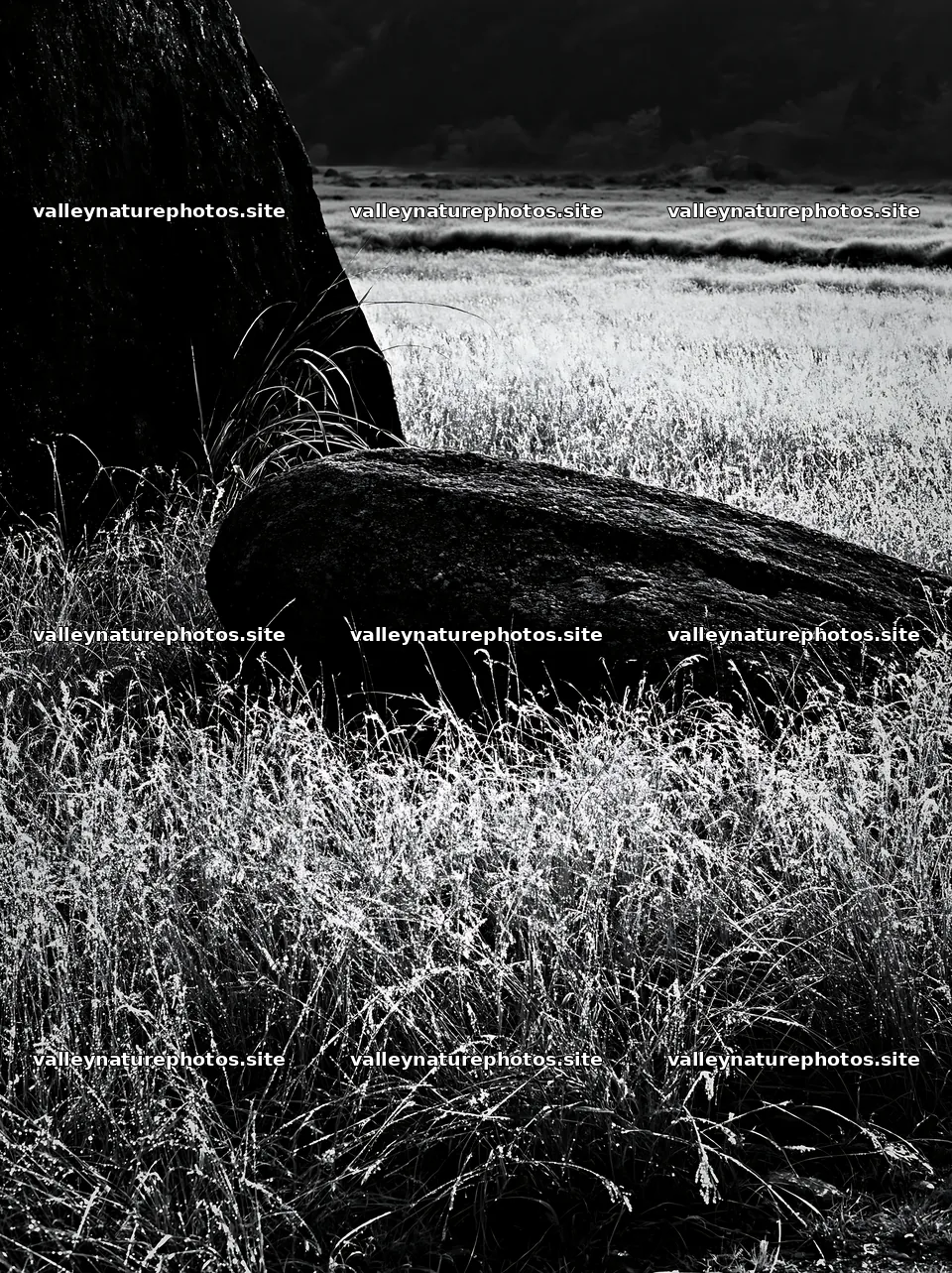 Nagano drought resilient meadow granite boulder – nature photography 6866x9174