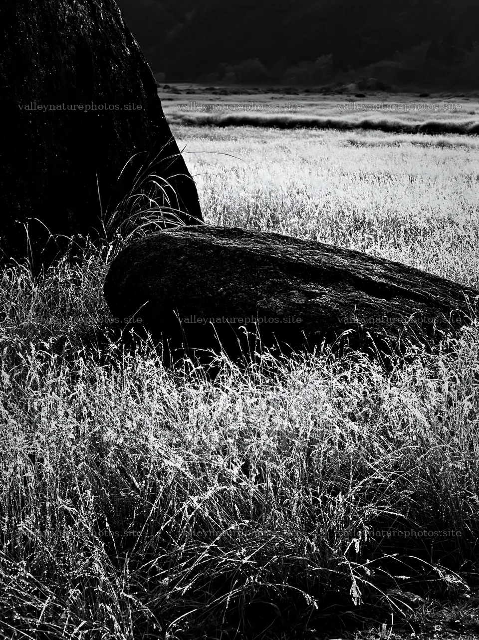 Nagano drought resilient meadow granite boulder – nature photography 6866x9174