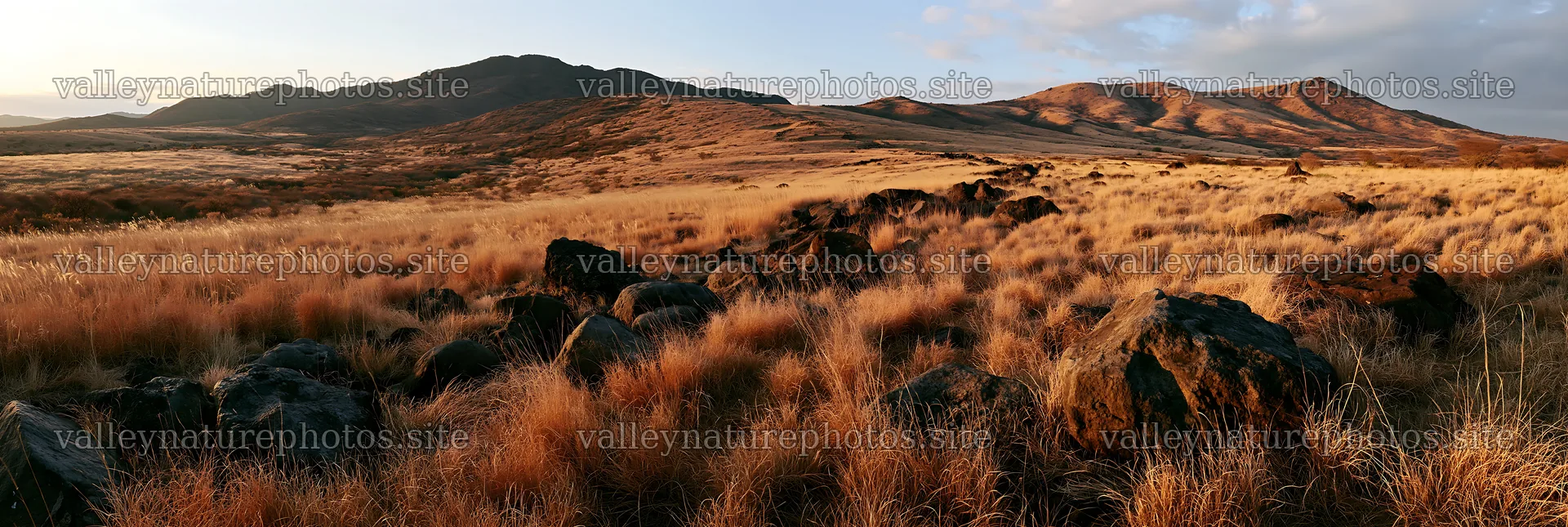 Kanagawa meadow with volcanic stones under warm sunlight – nature photography 13690x4602