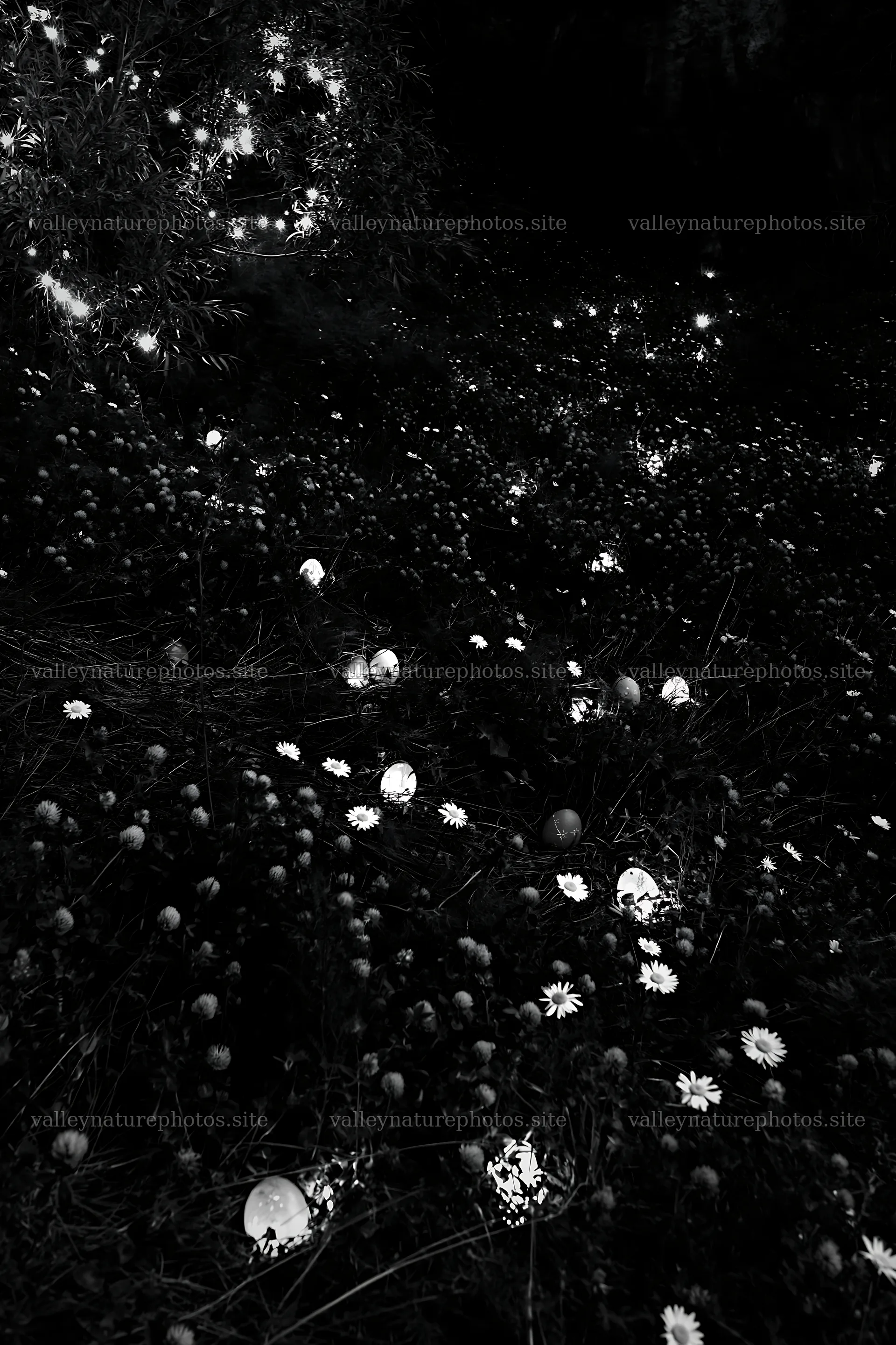 Christmas lanterns light up meadow near cave at dusk – nature photography 6480x9722