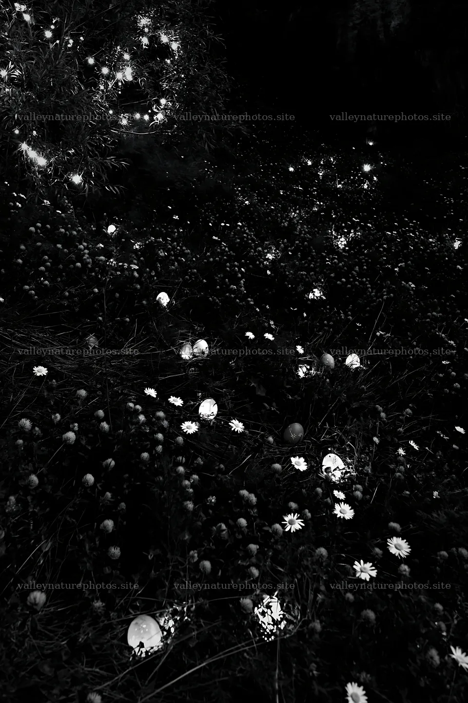 Christmas lanterns light up meadow near cave at dusk – nature photography 6480x9722