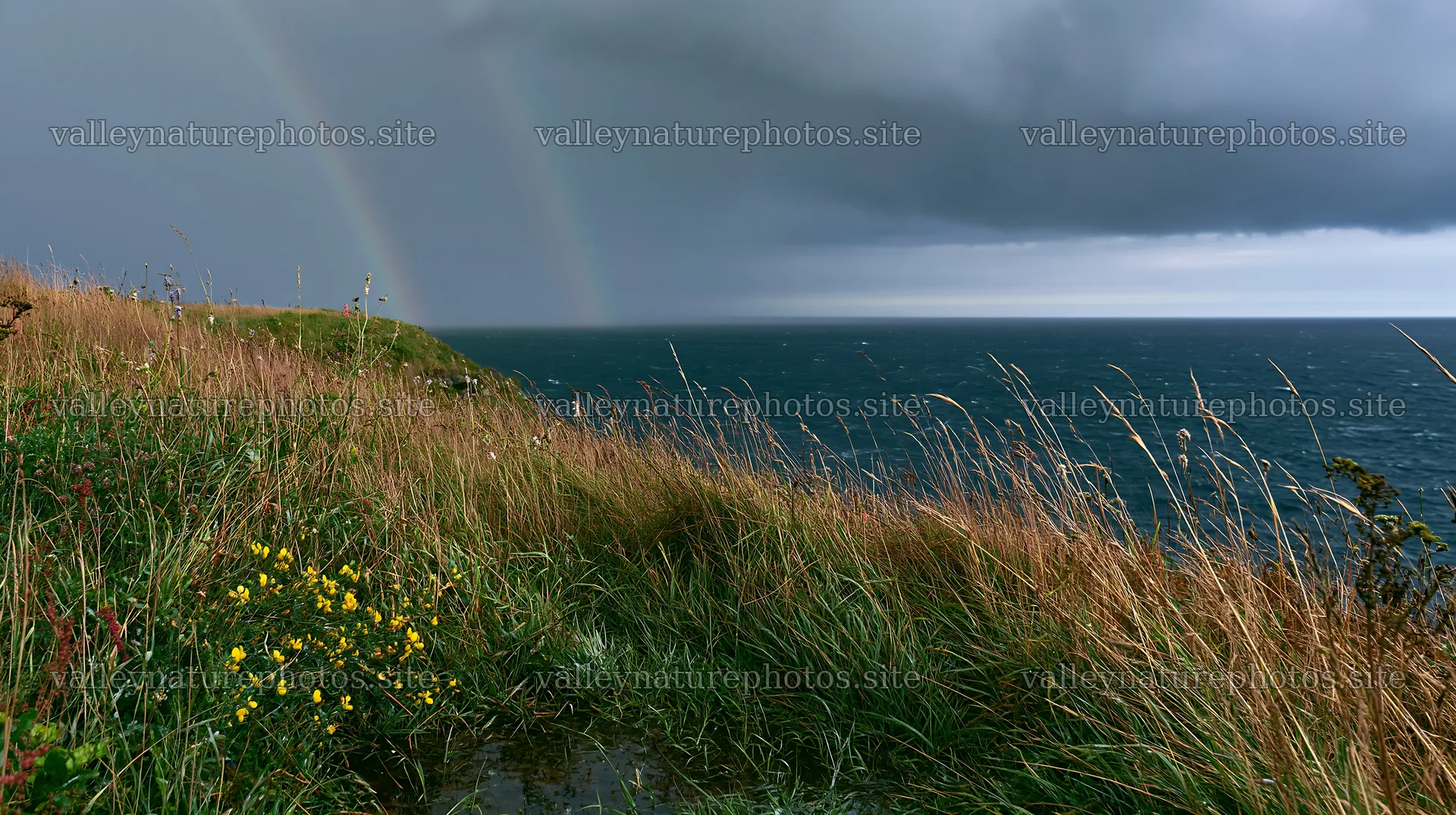 Clifftop meadow overlooking ocean with rainbow in the sky – nature photography 10608x5938