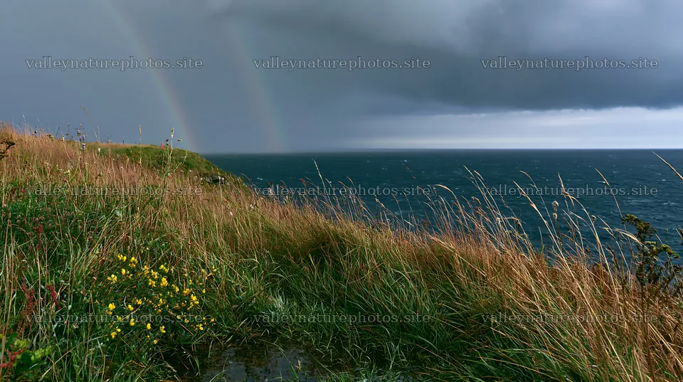 Clifftop meadow overlooking ocean with rainbow in the sky – nature photography 10608x5938