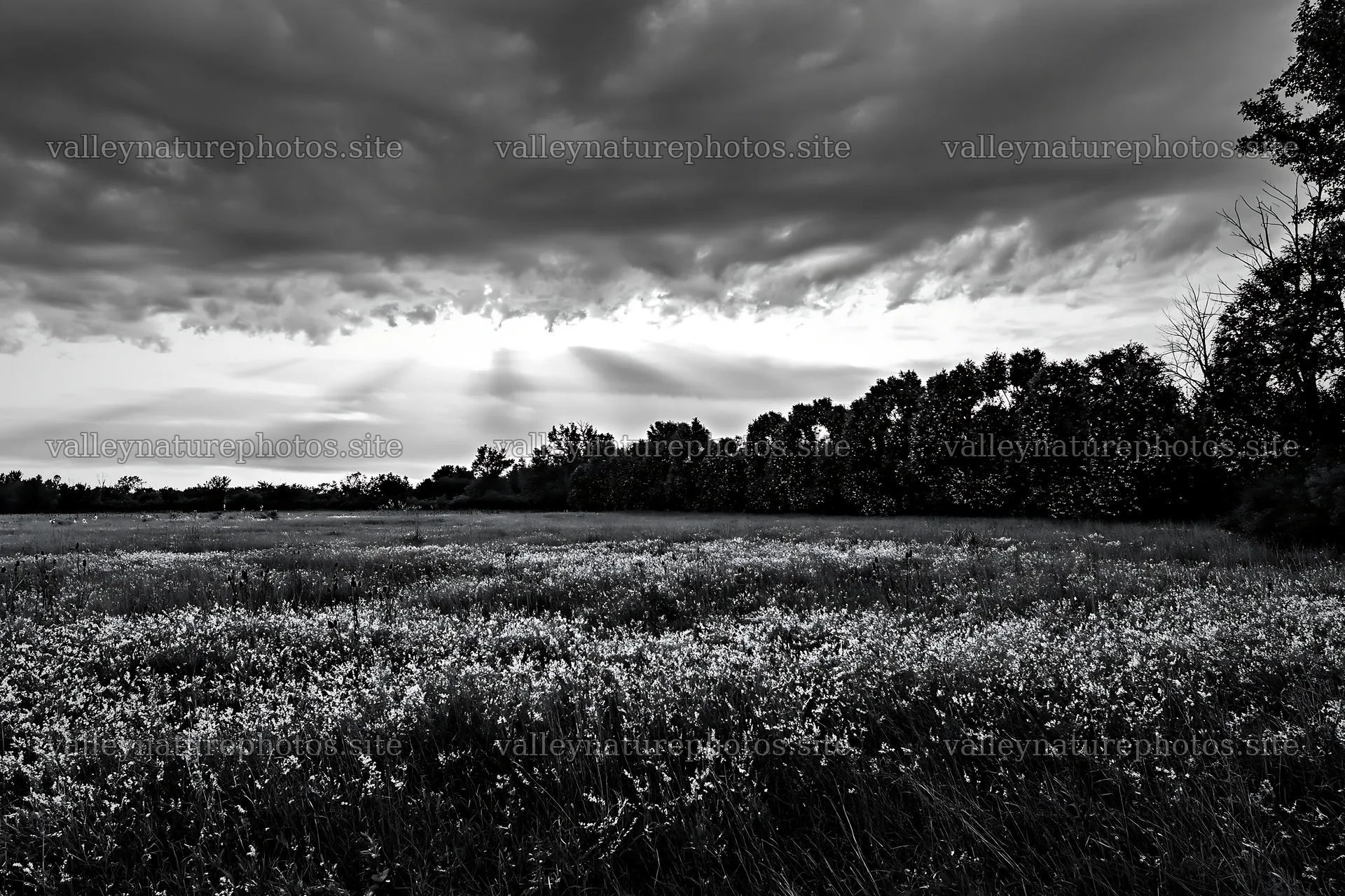 Christmas wreaths in meadow under clouds and rays – nature photography 9722x6480