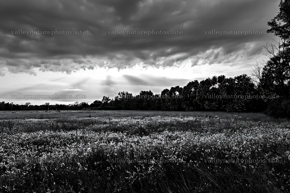 Christmas wreaths in meadow under clouds and rays – nature photography 9722x6480