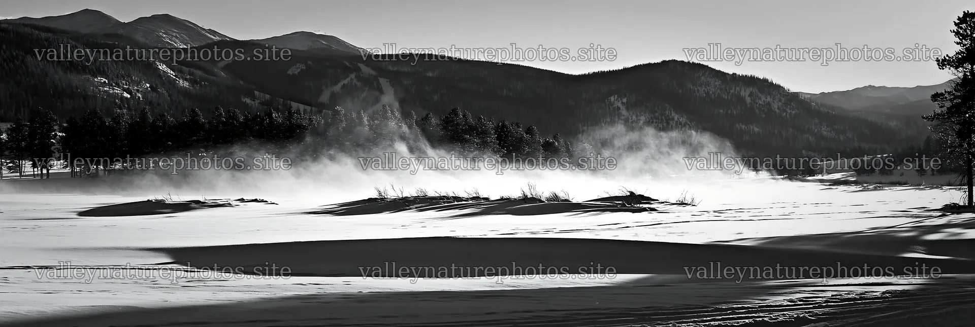 Snowy Rocky Mountain Park meadow with wind-blown snow – nature photography 13690x4602