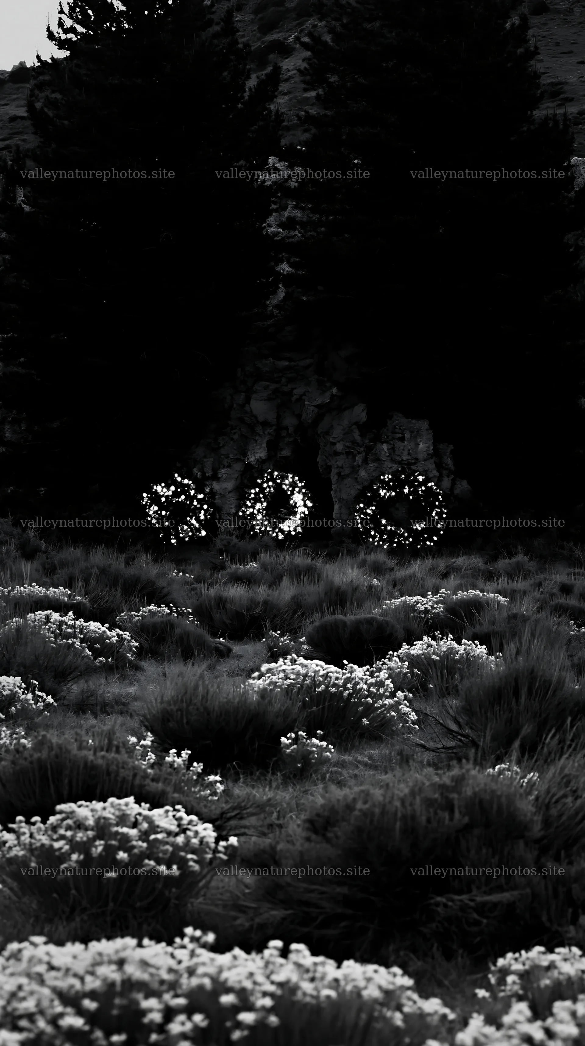 Christmas wreaths near cave in meadow – nature photography 5938x10608