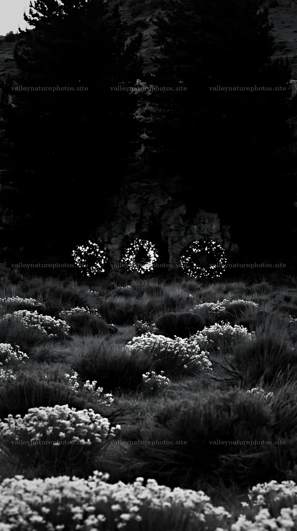 Christmas wreaths near cave in meadow – nature photography 5938x10608