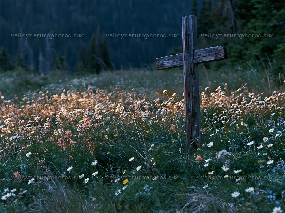 Wooden Christian cross in mountain meadow at dusk – nature photography 9174x6866