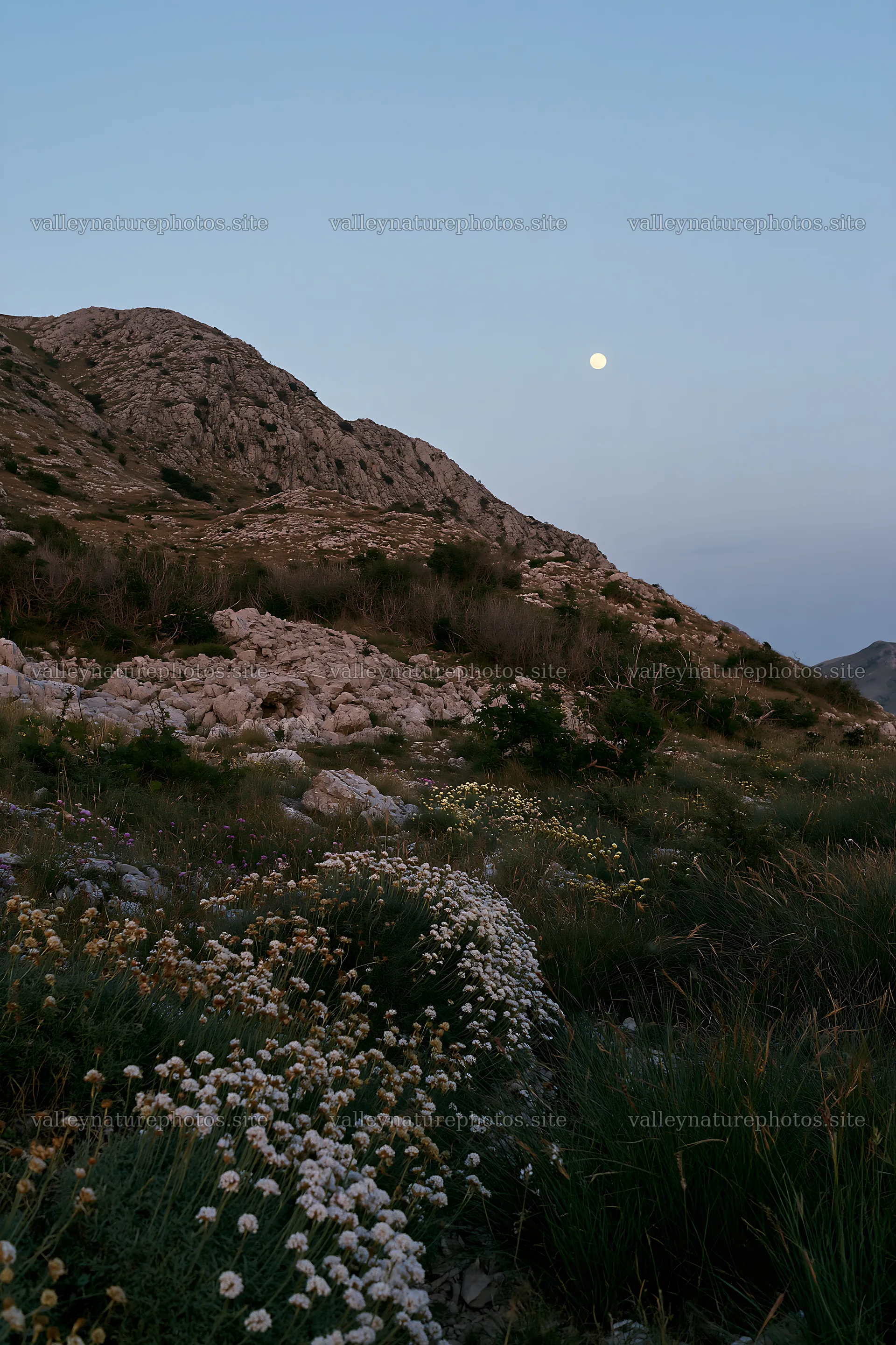 Moonrise over a meadow with rocky hills – nature photography 6480x9722