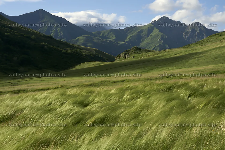 Rolling hills and meadows with mountains in the background – nature photography 9722x6480