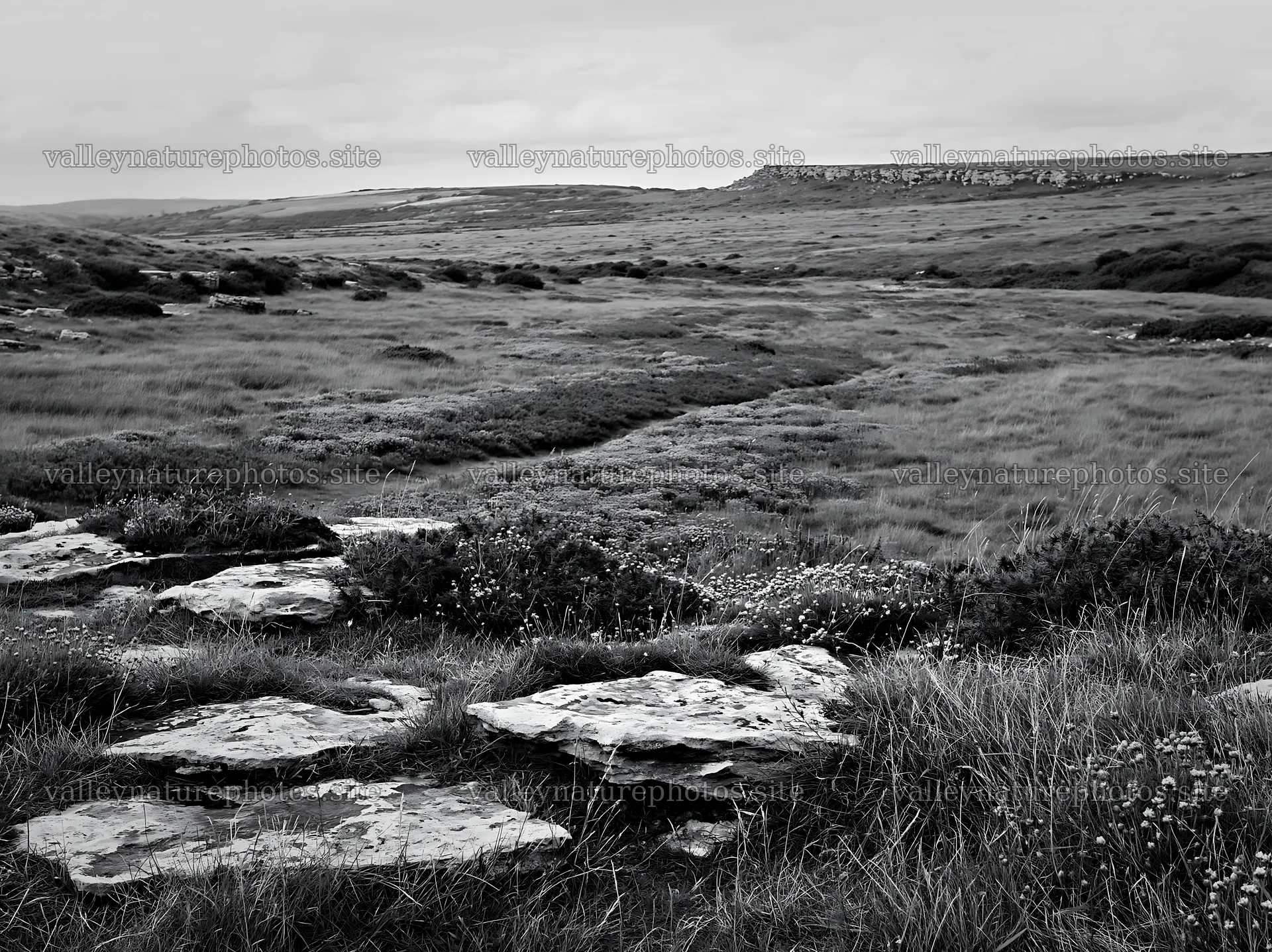 Cloudy limestone meadow with grass and rocks in a dry landscape – nature photography 9174x6866