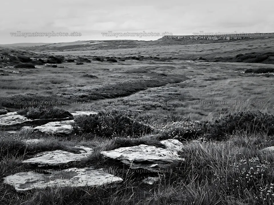 Cloudy limestone meadow with grass and rocks in a dry landscape – nature photography 9174x6866