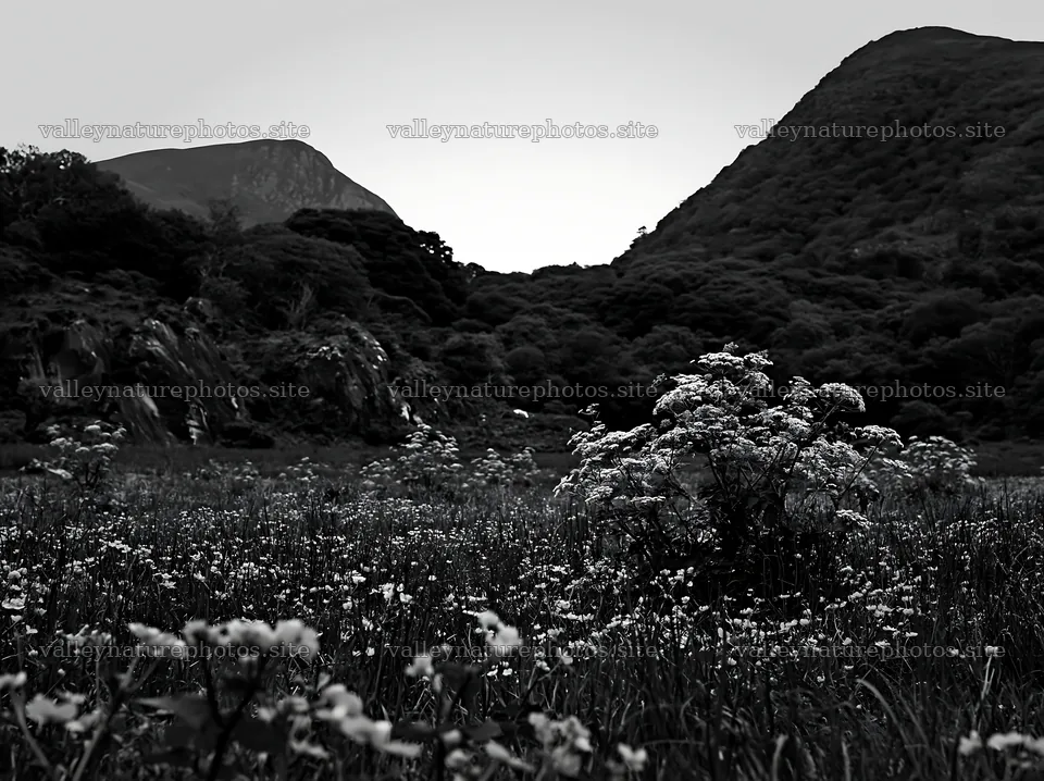Star-filled meadow at dusk surrounded by hills and flowers – nature photography 9174x6866