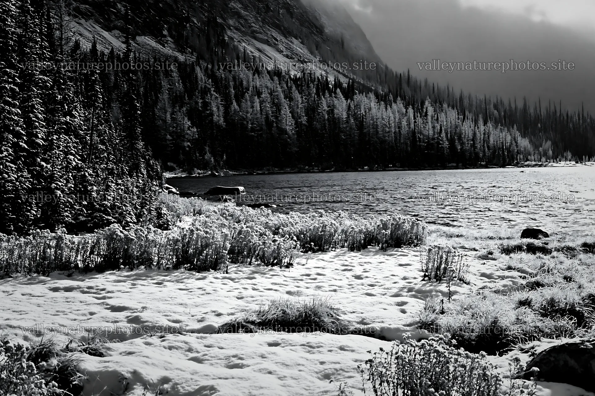 Lakeside meadow after first snowfall in black and white – nature photography 9722x6480