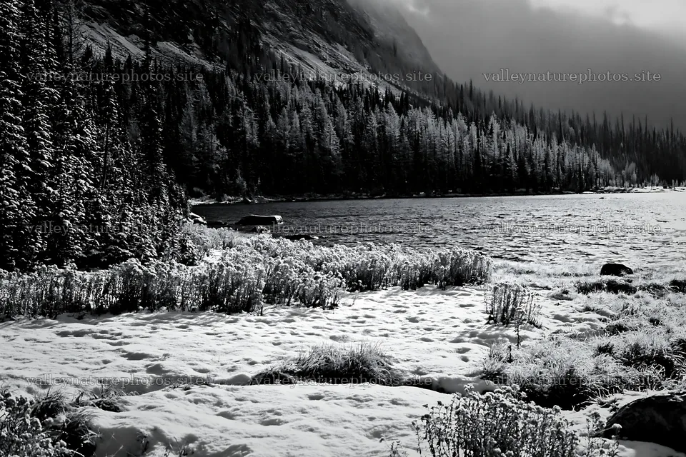 Lakeside meadow after first snowfall in black and white – nature photography 9722x6480