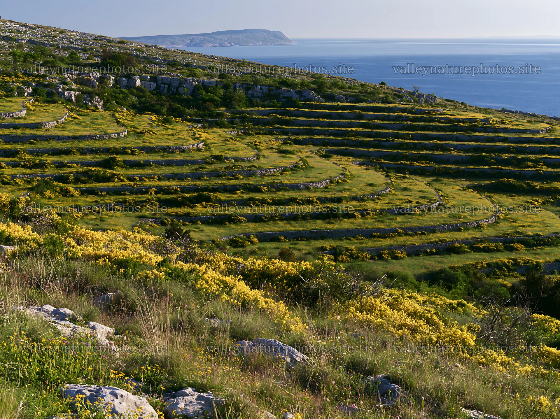 Croatian meadow above Adriatic coast with terraced landscape – nature photography 9174x6866